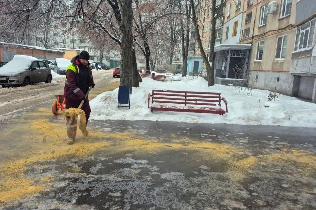 Комунальники Харькова собирают снег и борются со льдом