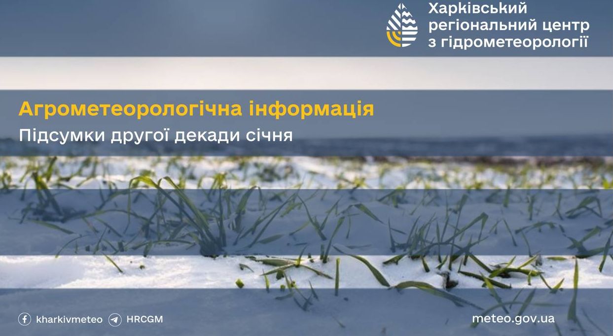 Глибокий мороз у Харкованиській області: як це вплинуло на ґрунт