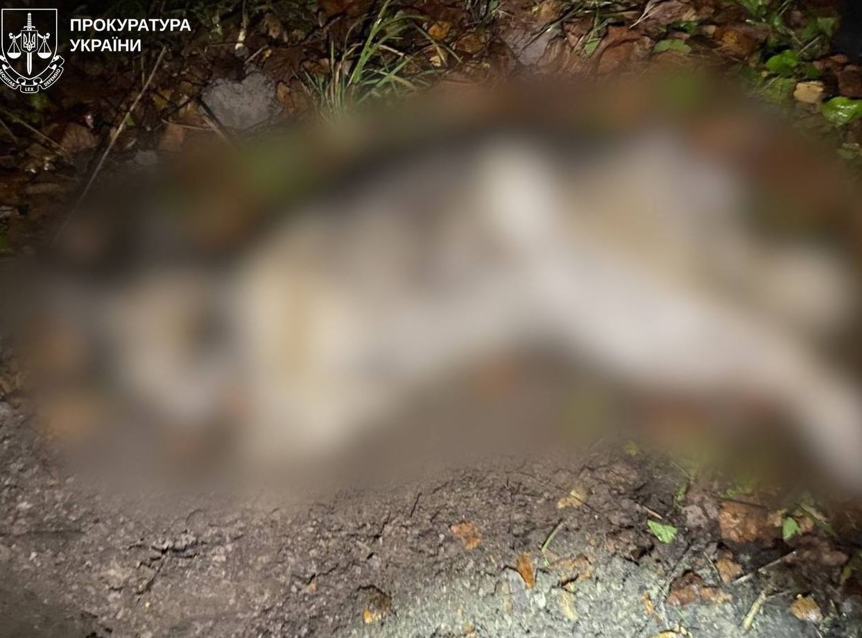 В Харківській області судимого за вбивство собаки передали до районного суду