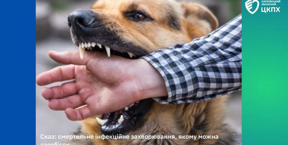 Трагічний випадок у Харкові: Життя жінки забрала зараза сказу після укусу собаки