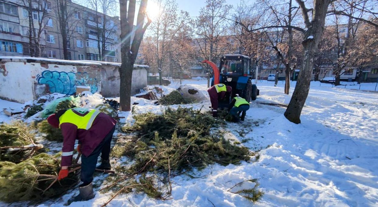 Харківські комунальники прибирають після свят: Збір та утилізація ялинок