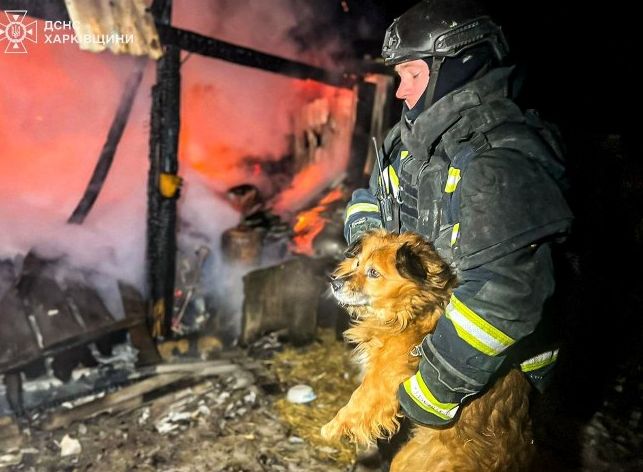 Харківські рятувальники відреагували на пожежі після обстрілів