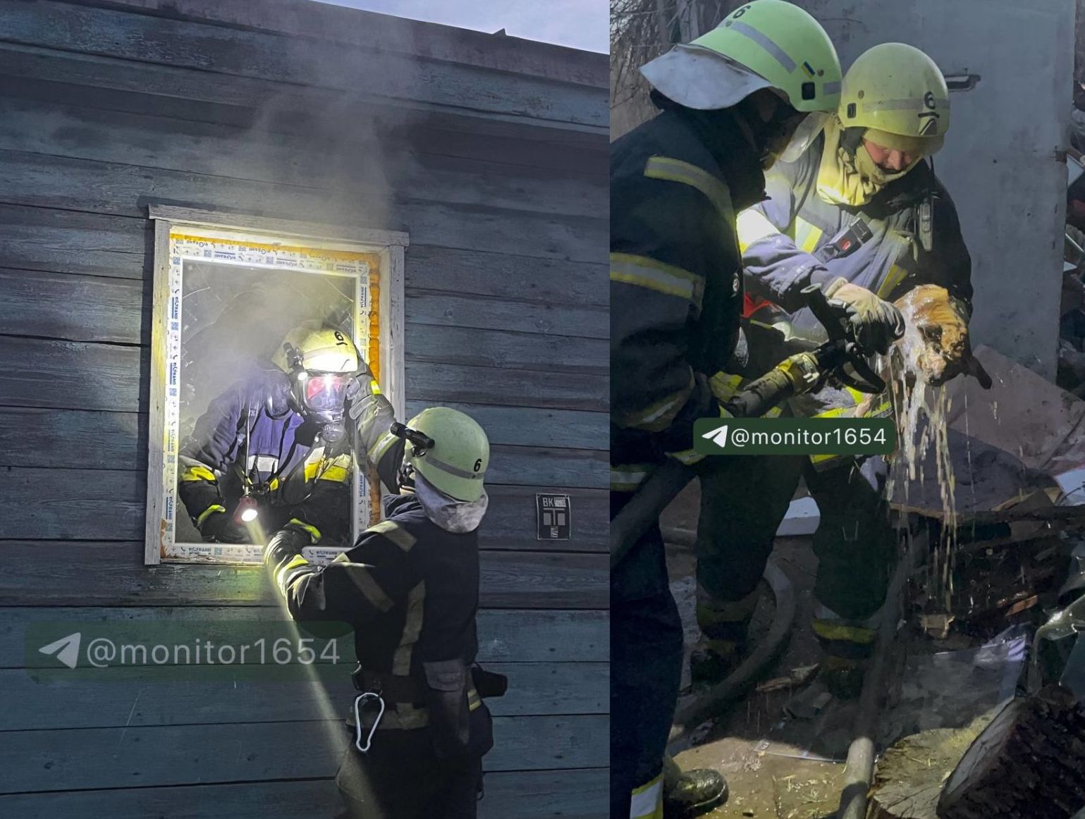 Врятовані собаки: Історії порятунку під час пожежі в Харкові