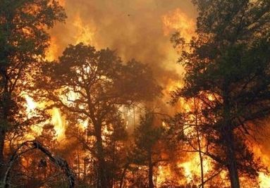 Екологічні Збитки від Агресії в Україні: Обчислення та Розподіл