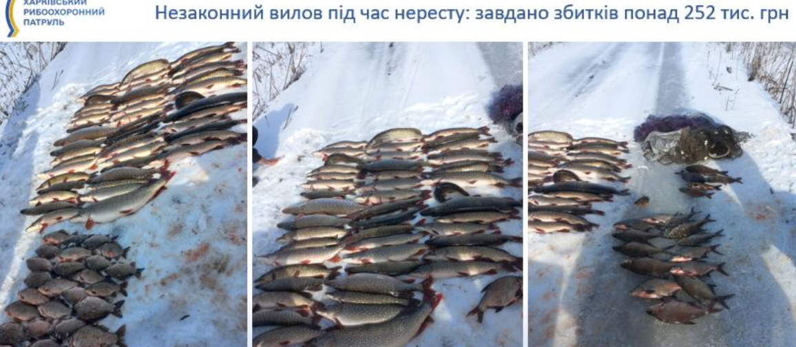 Нелегальний риба́льство під час нересту затримано на Харківщині