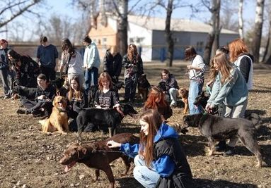 Студенти ХНУ ім. Каразіна допомагають притулку для тварин у Харкові