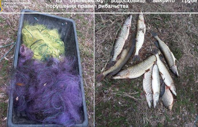 В Лозівському районі затримали браконьєра з цінною рибою