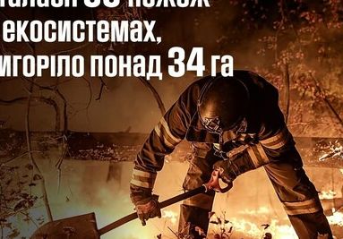 Вогняні загрози в екосистемах Харківщини