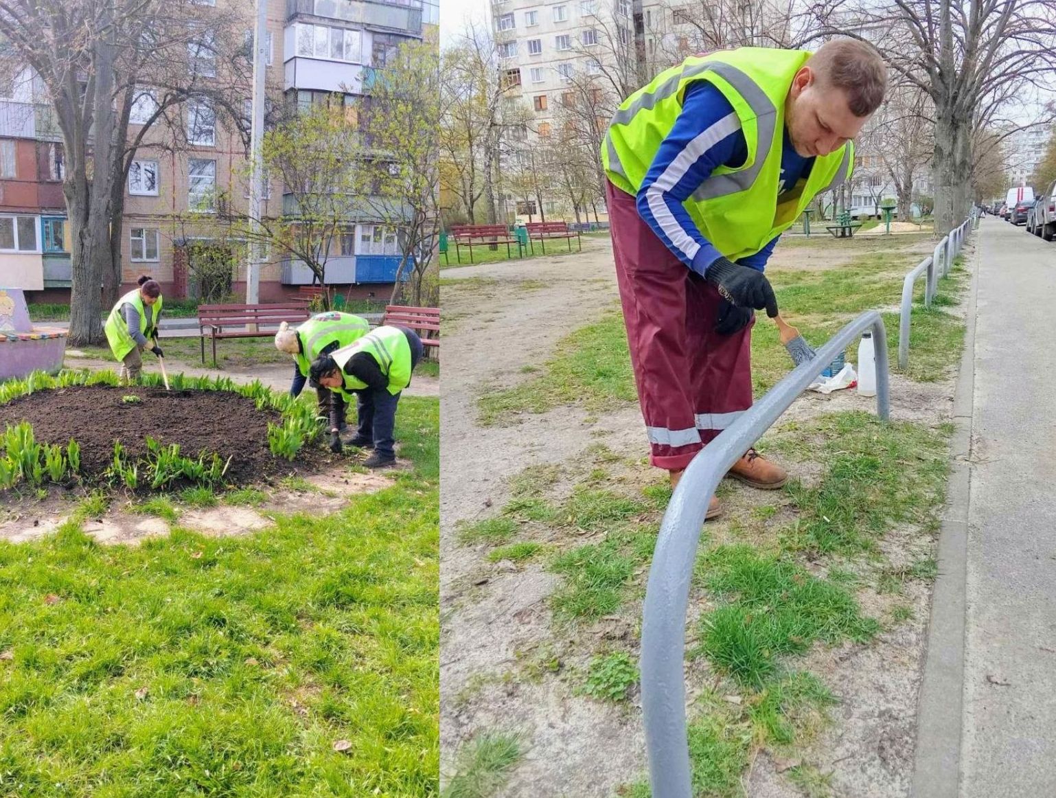 Оновлення дворів Харкова: тисячі нових рослин