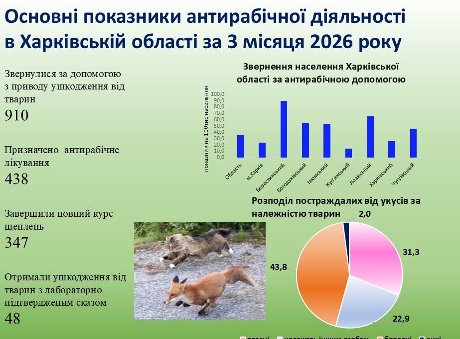 Проблема укусів тварин у Харківській області: статистика та тенденції