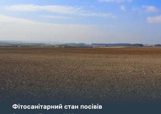 Фітосанітарна ситуація на полях Харківщини: шкідники та рекомендації фахівців