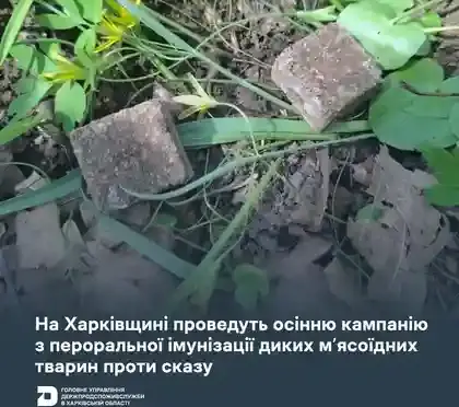 На Харківщині розпочинається масштабна імунізація диких тварин проти сказу