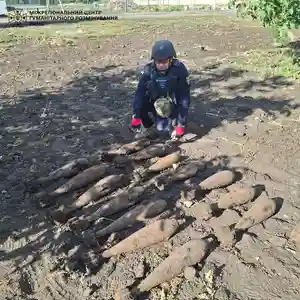 На Харківщині сапери знешкодили мінометні міни часів Другої світової війни
